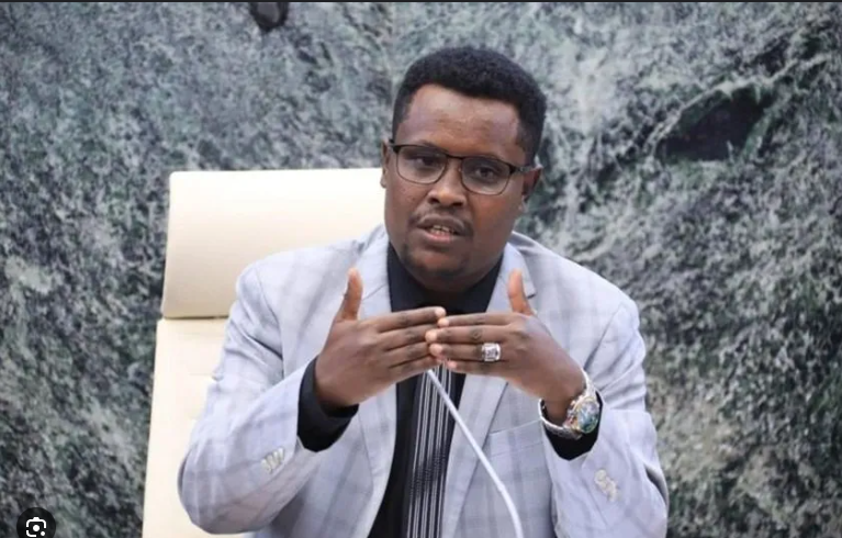 Finas Tadele Ethiopian MP Christian Tadele Critically Ill in Detention, Family and ...